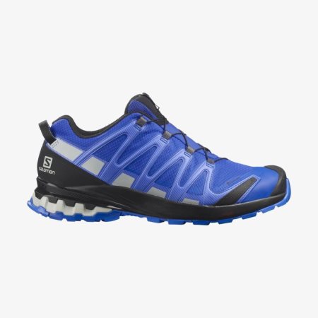 Salomon XA PRO 3D v8 GORE-TEX Mens Hiking Shoes Blue | Salomon South Africa